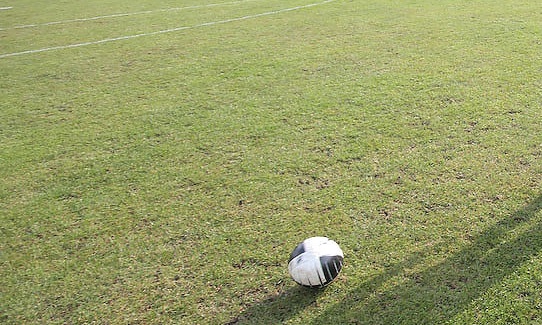 A telibe köpött spori esete