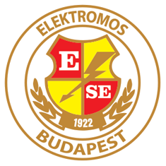 Elektromos MSE