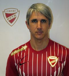 Vitelki Zoltán