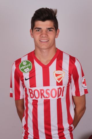 Kitl Miklós