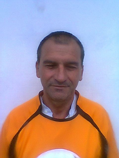 Golubics István