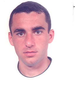 Voicu Ion