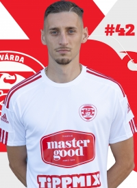 Lippai Tibor