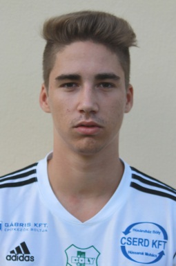Horváth  Dániel