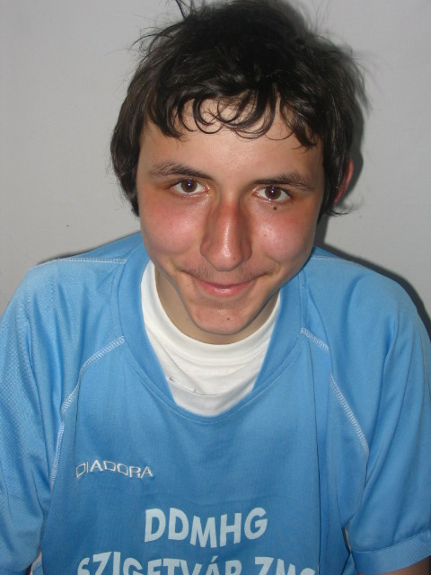 Hollósi Máté