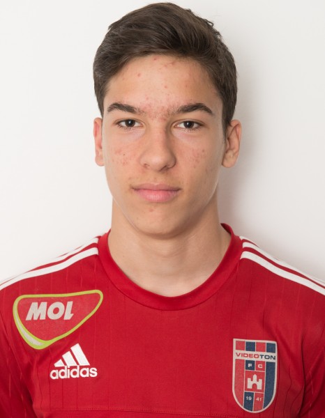Varjas Zoltán