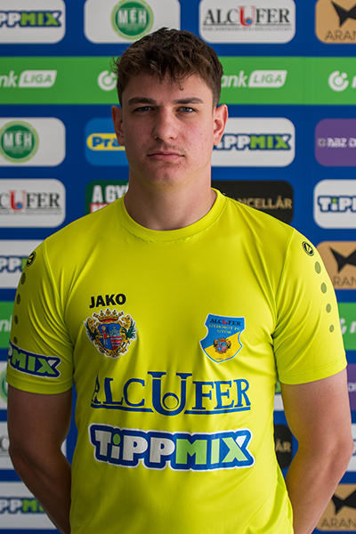 Csörgő Viktor
