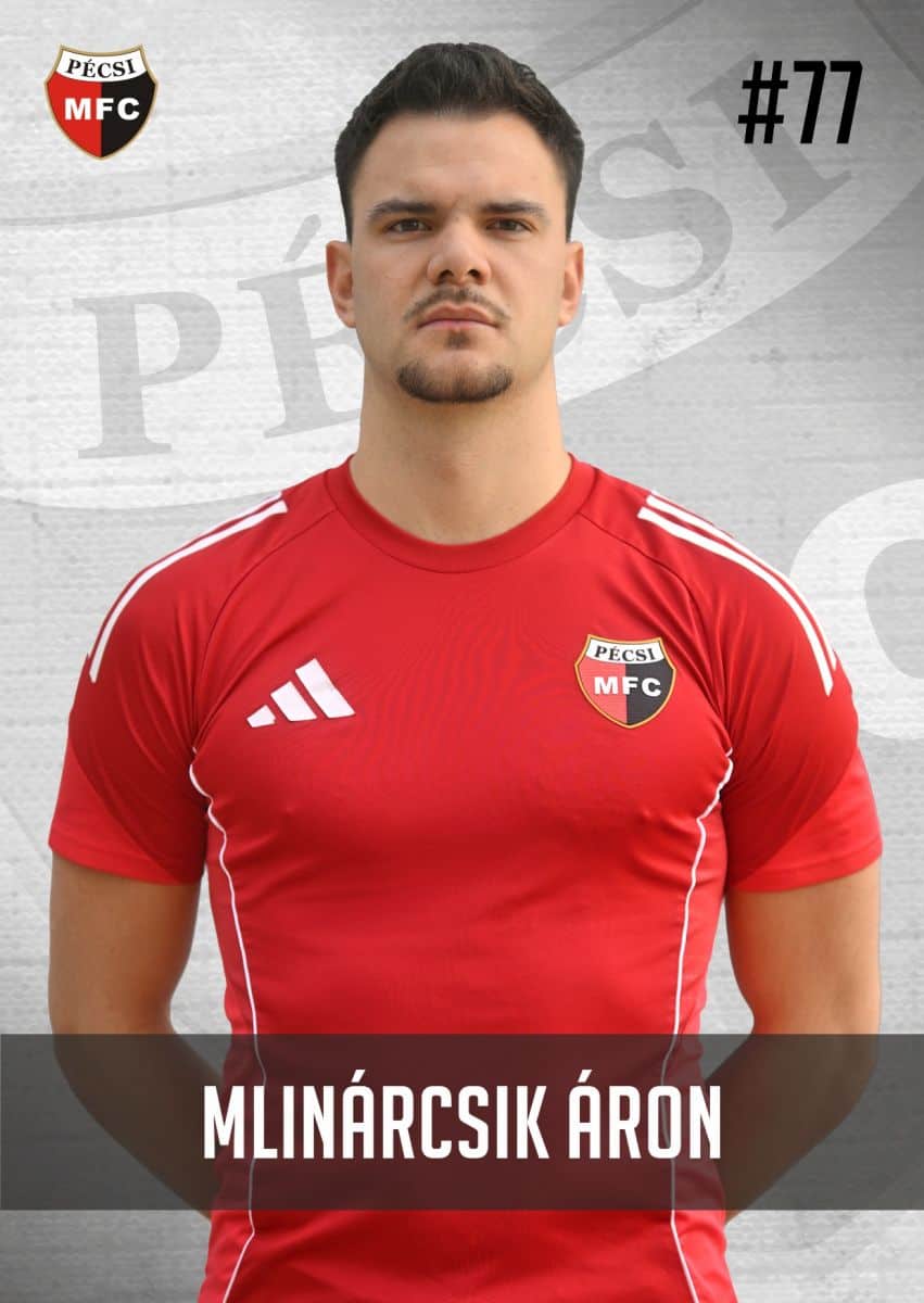 Mlinárcsik Áron Mihály