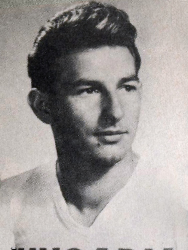 Bencsics József