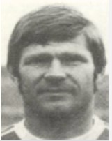 Wollek Tibor