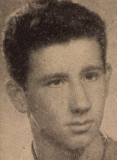 Werner Gyula