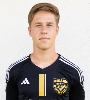 Silling Máté Ferenc