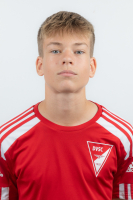 Hermann Dávid