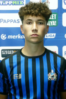 Pleskó Patrik